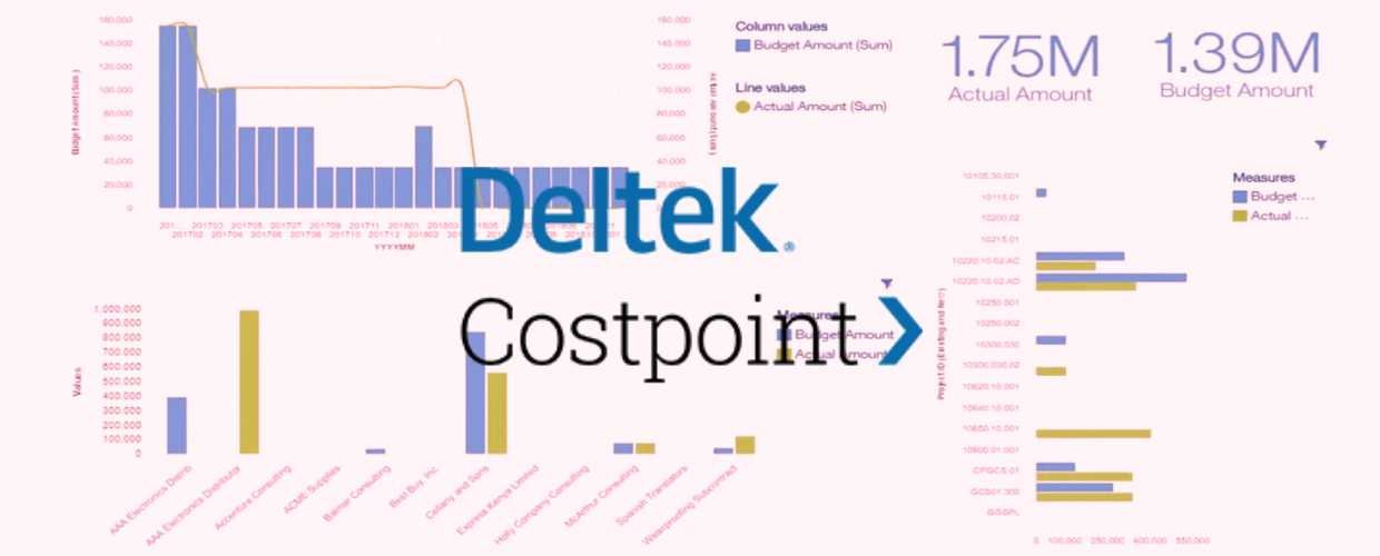 Deltek Costpoint Review and Details in 2023