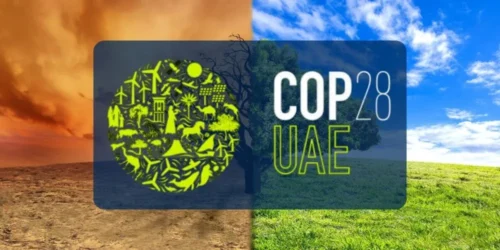 UAE Accused of Seeking Fossil Fuel Deals During UN Climate Talks