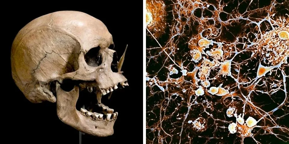 Ancient Genomes Reveal Three Migration Waves and Impact on Modern Characteristics