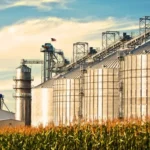 Biofuels