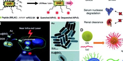 Nanoparticle Surface Chemistry: Tailoring Properties for Revolutionary Applications