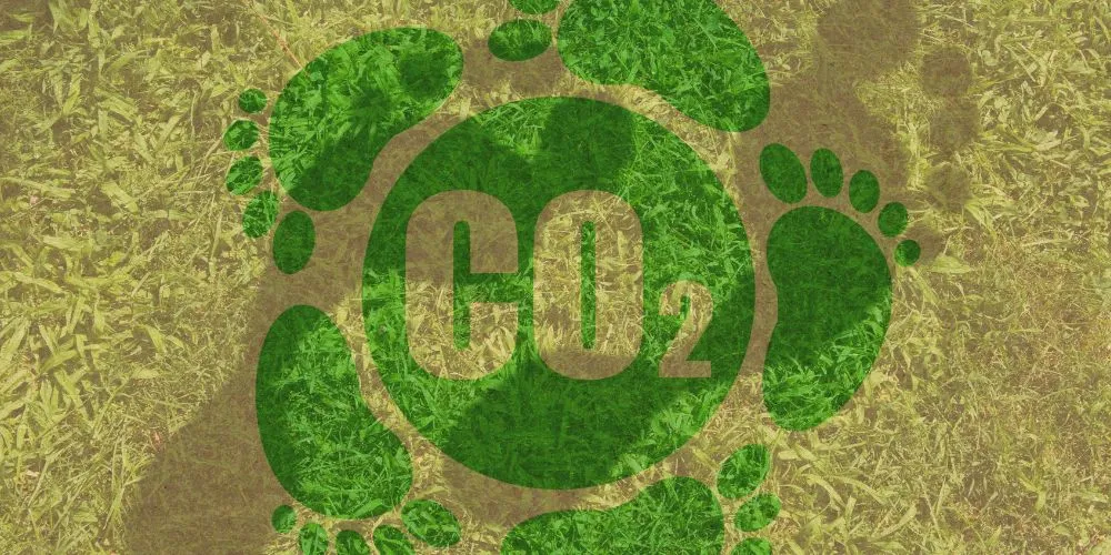 Carbon Footprint: Measuring and Mitigating Environmental Impact