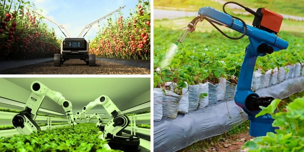 Advanced Agricultural Robots Set to Reshape the Landscape of Modern Agriculture, Sustainable Agriculture Technology