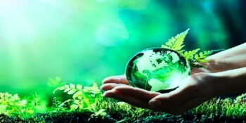 Exploring Environmental Legislation Upholding Environmental Integrity, Environmental Technology Market Analysis