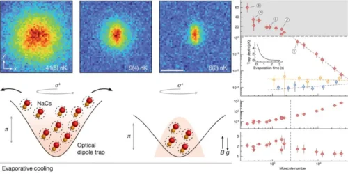 Physicists Create New Quantum State with Molecules, Paving Way for Advanced Technologies