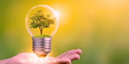 Environmental Assessment