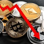 Cryptocurrency Crash in 2022 A Case Study of Market Volatility