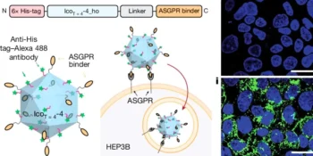 AI-Designed Protein Nanocages Revolutionize Gene Therapy