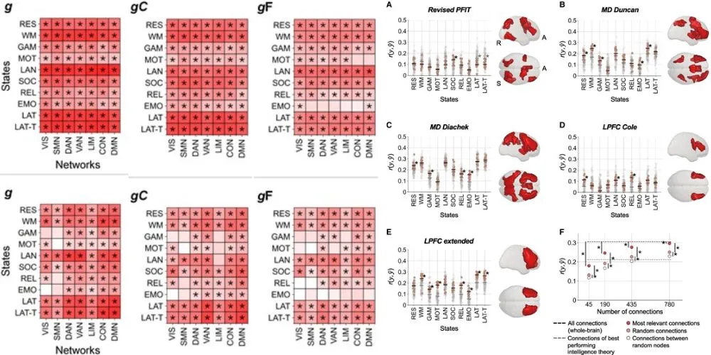 Machine Learning Study Reveals New Insights Into Brain Connections and Intelligence