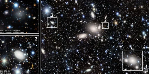 A Glittering View of the Antlia Cluster Reveals Secrets of Galaxy Evolution