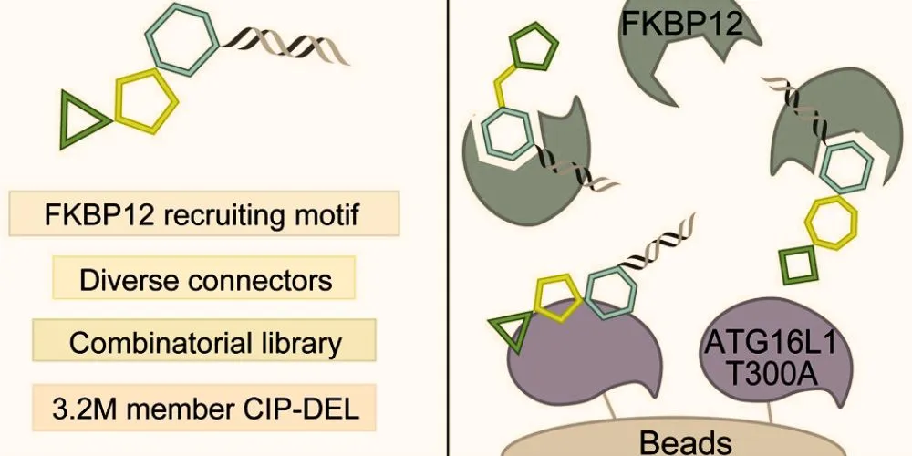 Innovative Chemistry Drives Breakthroughs in Genetic Disease Treatment