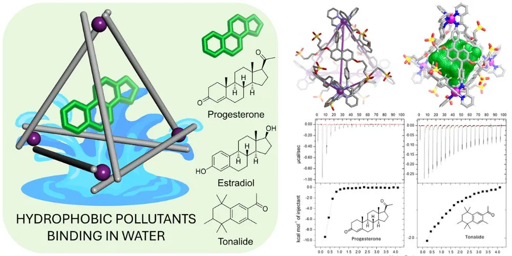 Scientists Develop New Material to Remove Harmful Pollutants from Water