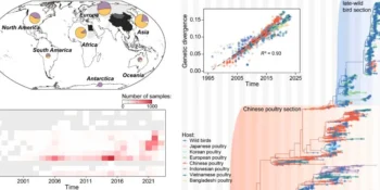 Study Suggests Bird Flu Vaccinations May Accelerate Virus Evolution