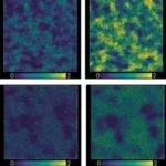 Unveiling the Complex Physics of Glass and Supercooled Liquids