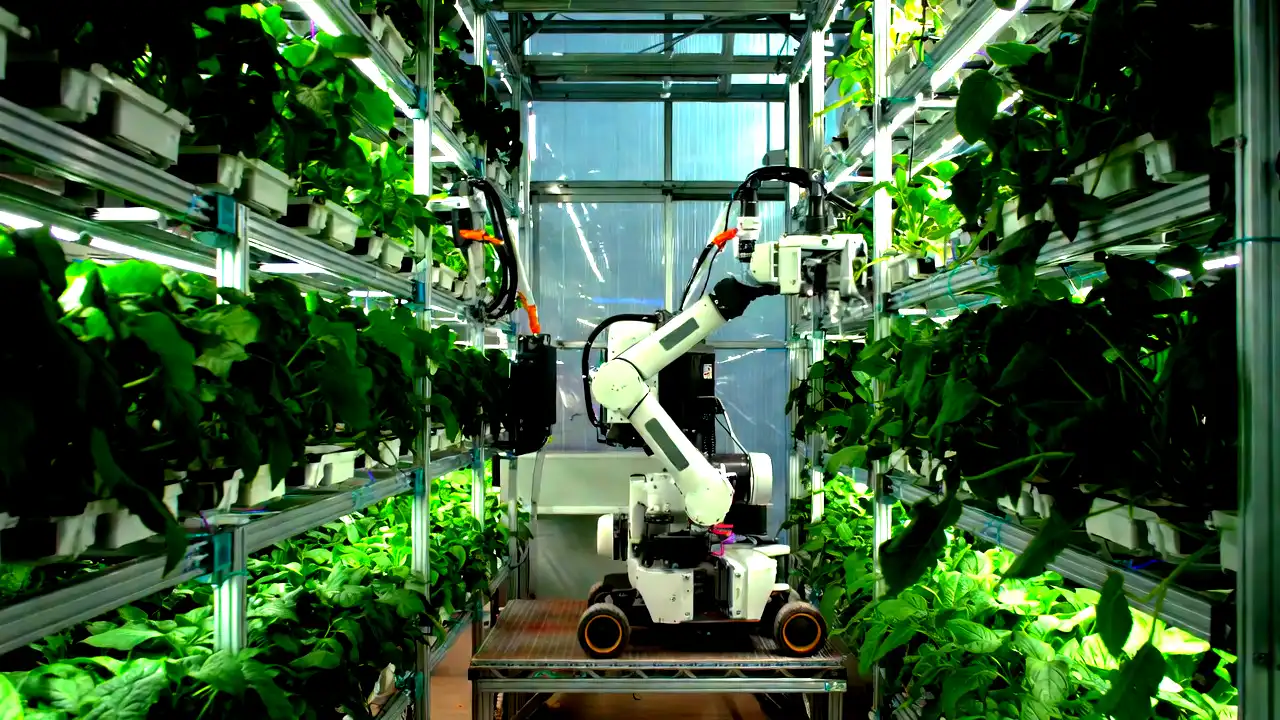 Agriculture Robot