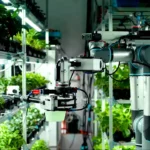 Agriculture Robot