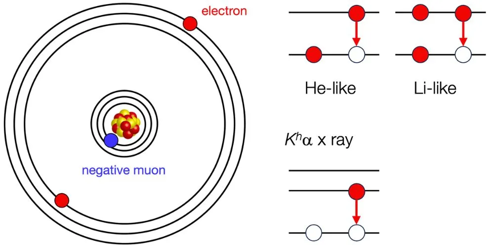 Scientists Observe New Type of Exotic Atom for the First Time