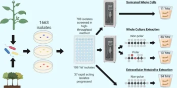 insecticidal bacteria and predictions of metabolite properties