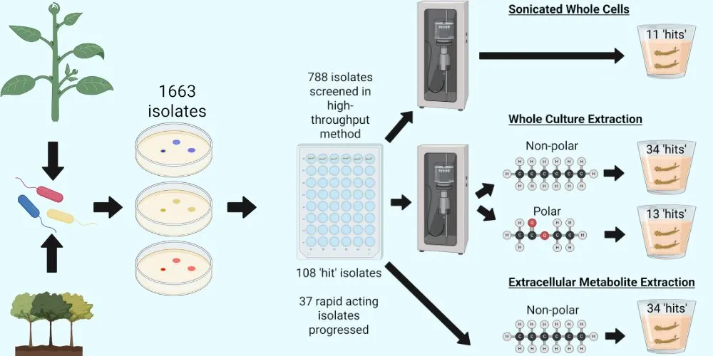 insecticidal bacteria and predictions of metabolite properties