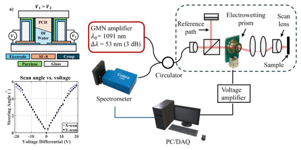 spectral domain OCT system