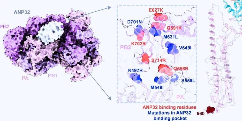 surface representation