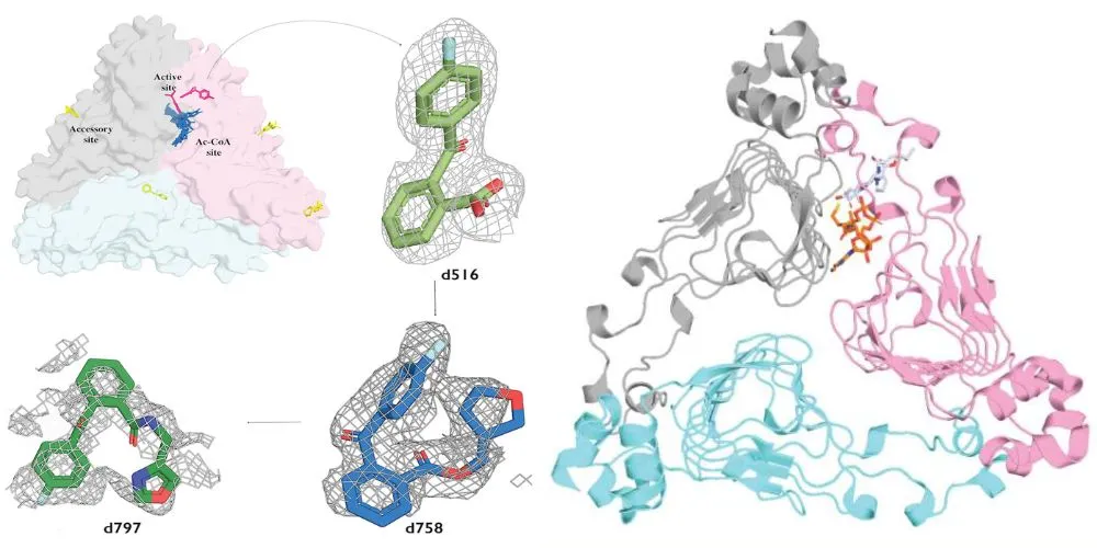 Antibiotic Resistance