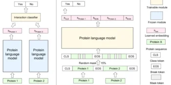 PPI prediction architecture