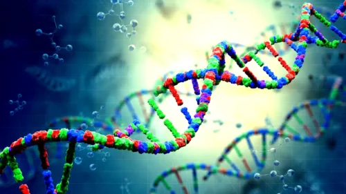 DNA & Genomics