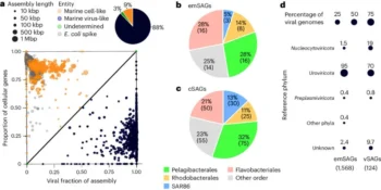 de novo genome