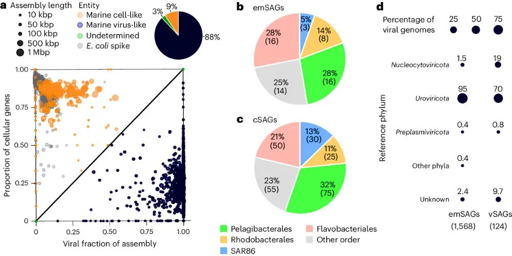 de novo genome