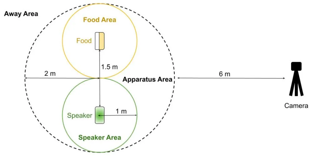 apparatus