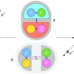 Internal structure