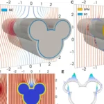Magnetic cloaking