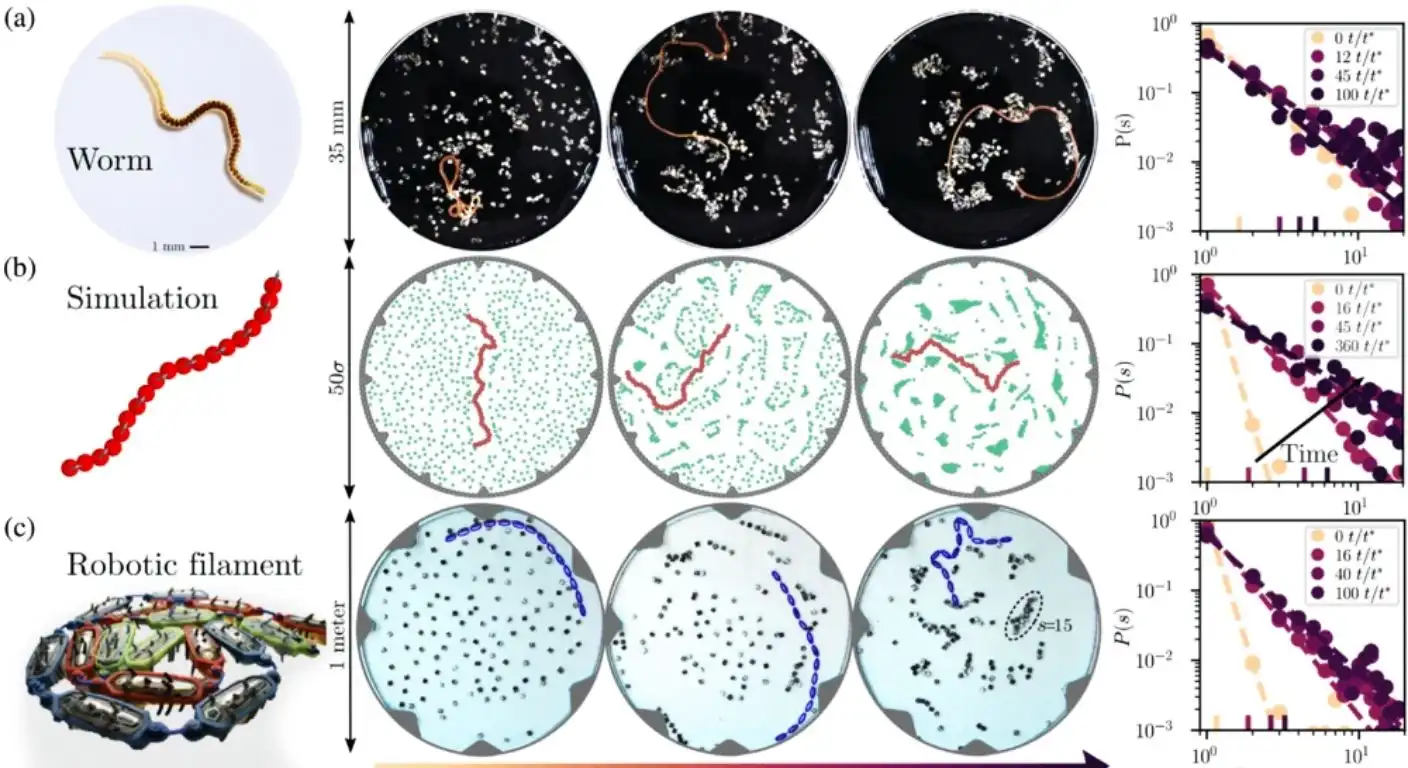 robotic active filaments
