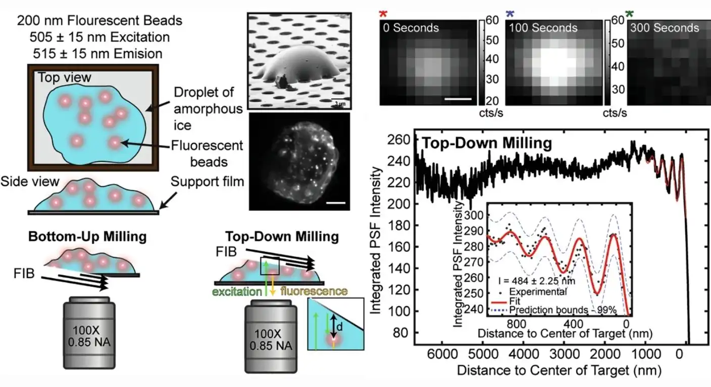 Synthetic test system