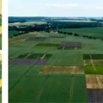 farming systems