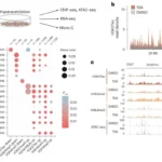 Acute HDAC