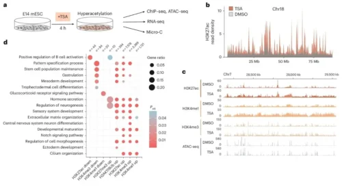 Acute HDAC