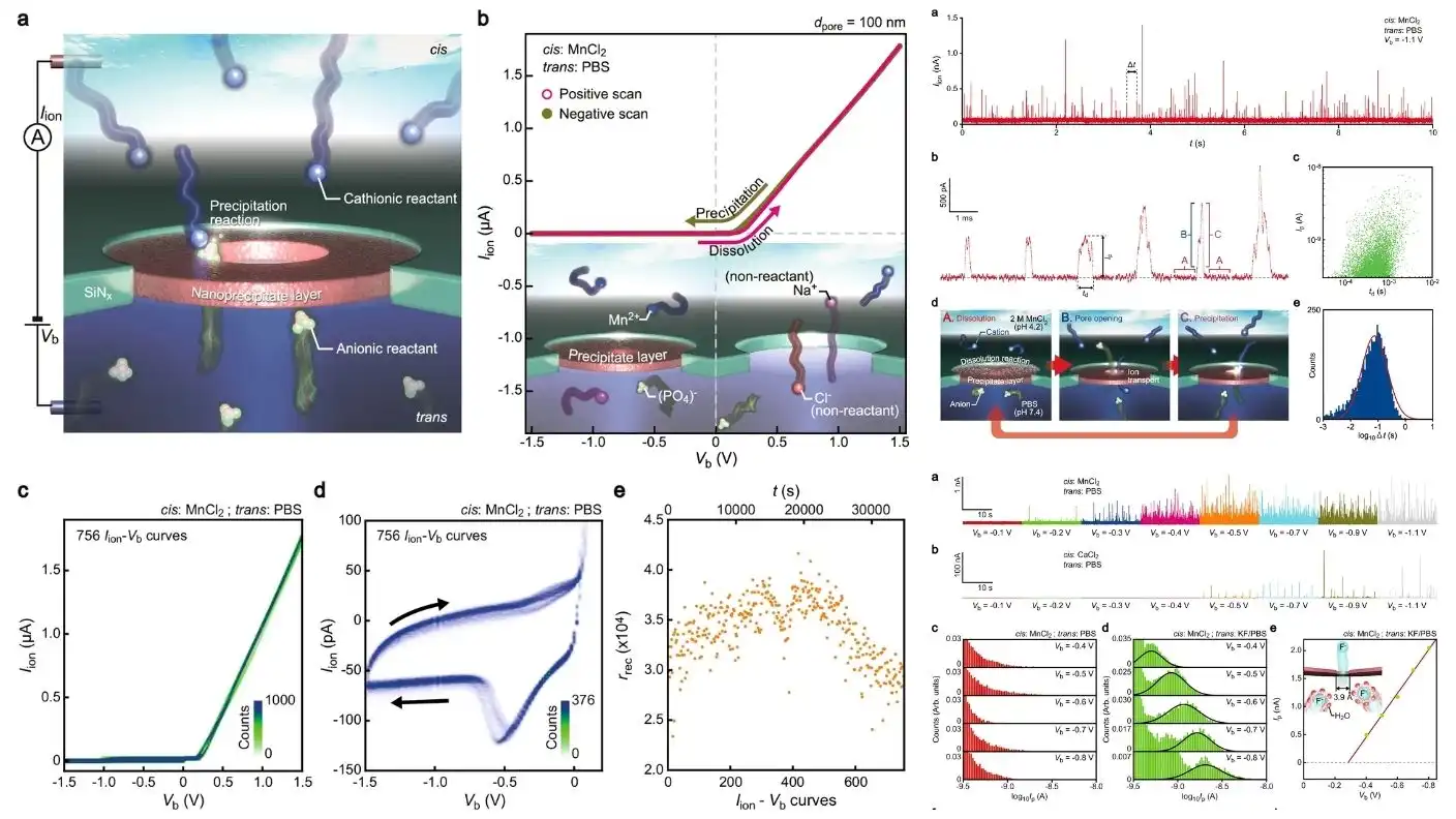 solid-state nanopores