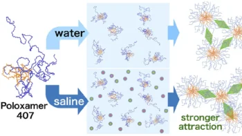 sol-gel-sol transition