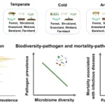 Soil microbial