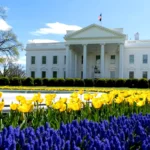 The White House