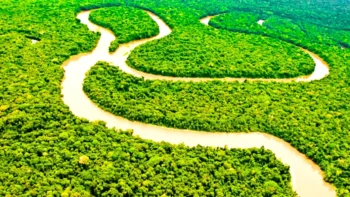amazon rainforest