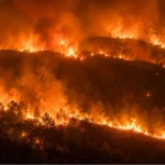 Wildfire at dusk