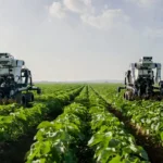 Agriculture Robot