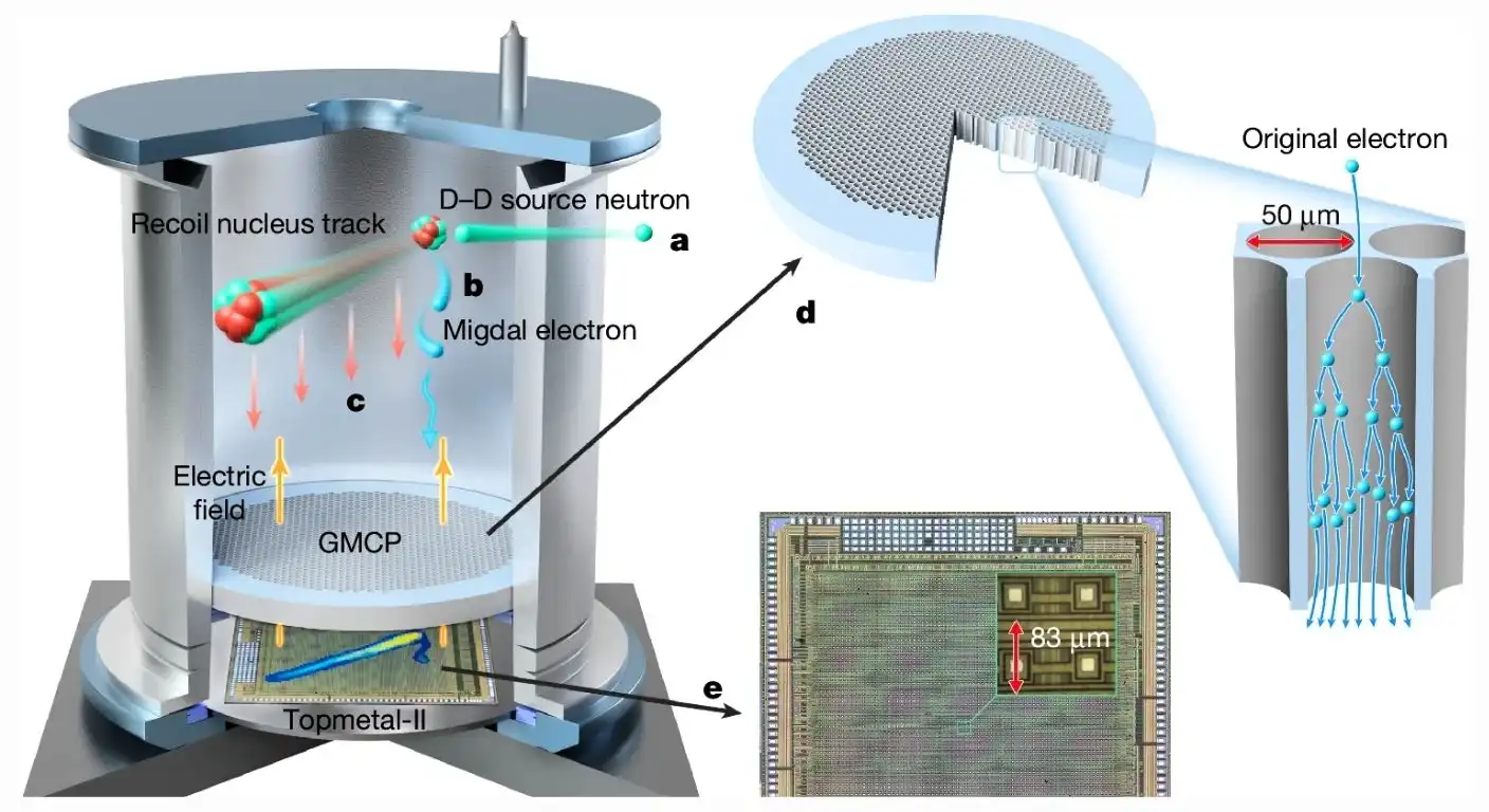 gas pixel detector