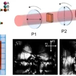 Birefringence