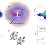 proton–proton collisions