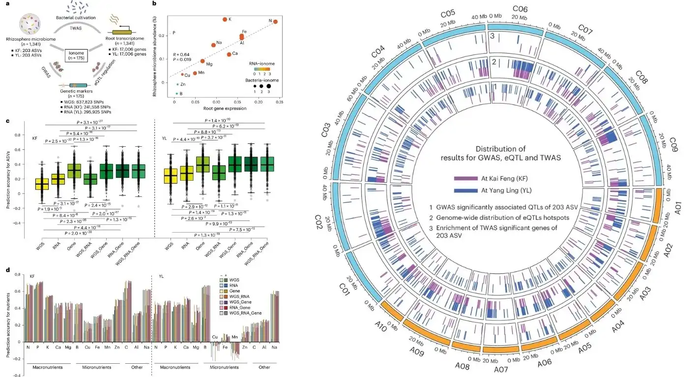 Genomic