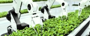 The Rise of Robotics for Sustainable Farming Revolutionizing Agriculture